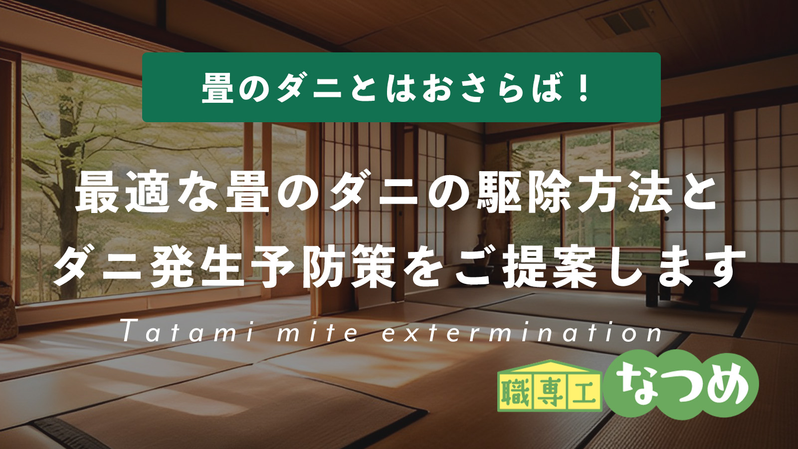 【畳のダニ】最適なダニの駆除方法とダニ発生予防策をご提案します