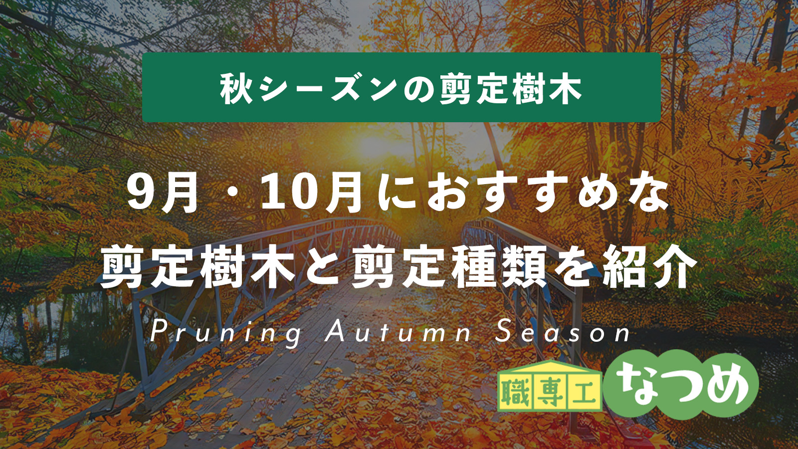 【秋シーズン】9月・10月おすすめな剪定樹木を紹介します！